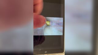 For the dear P. :3, ScatKings.com Scat Porn 6 ScatKings.com Scat Porn