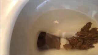 Toilet Release, ScatKings.com Scat Porn 24 ScatKings.com Scat Porn
