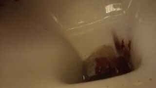 noisy good morning, ScatKings.com Scat Porn 26 ScatKings.com Scat Porn